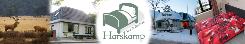 B & B Harskamp